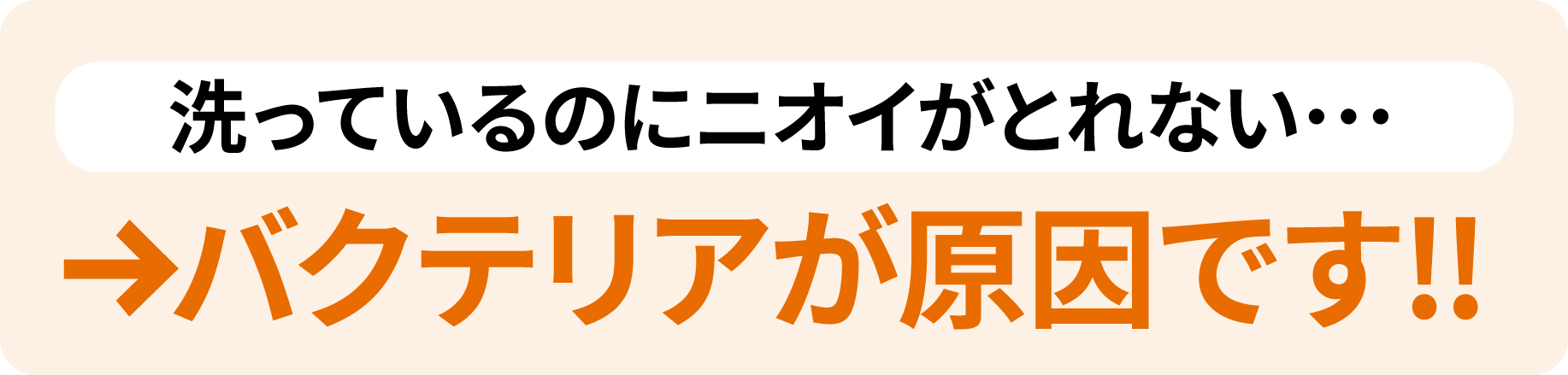 ポリジン臭いの原因はバクテリア